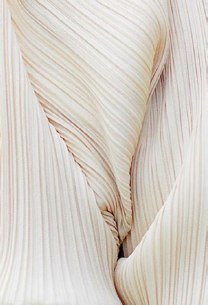 FN Lounge Presentation