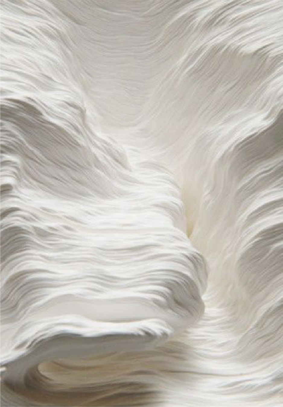 FN Lounge Presentation