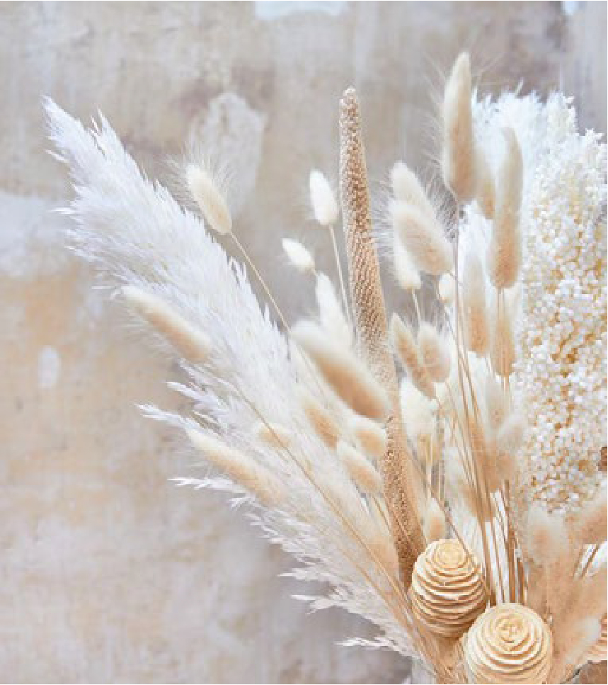 FN Lounge Presentation